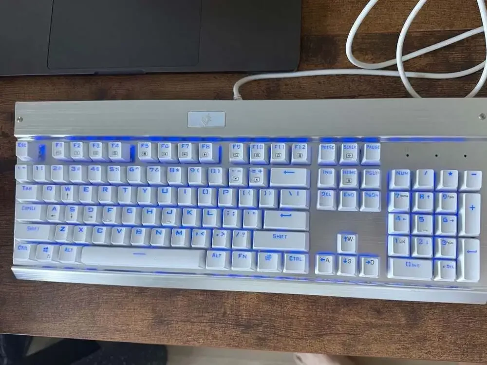 EagleTec KG011 Wired Mechanical Keyboard with Blue LED Backlight and Silver Alum